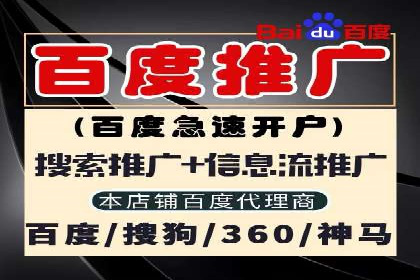 专业SEM托管助力企业快速成长案例分析